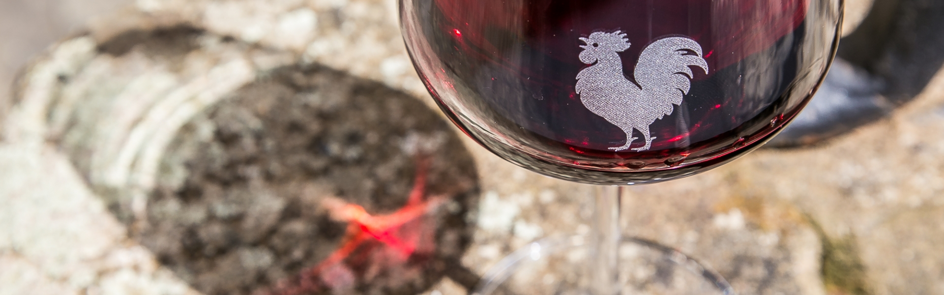 13 JUNE 2019 - Dinner with Sangiovese 